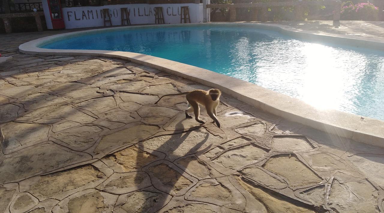 מאלינדי Flamingo Villas Resort מראה חיצוני תמונה