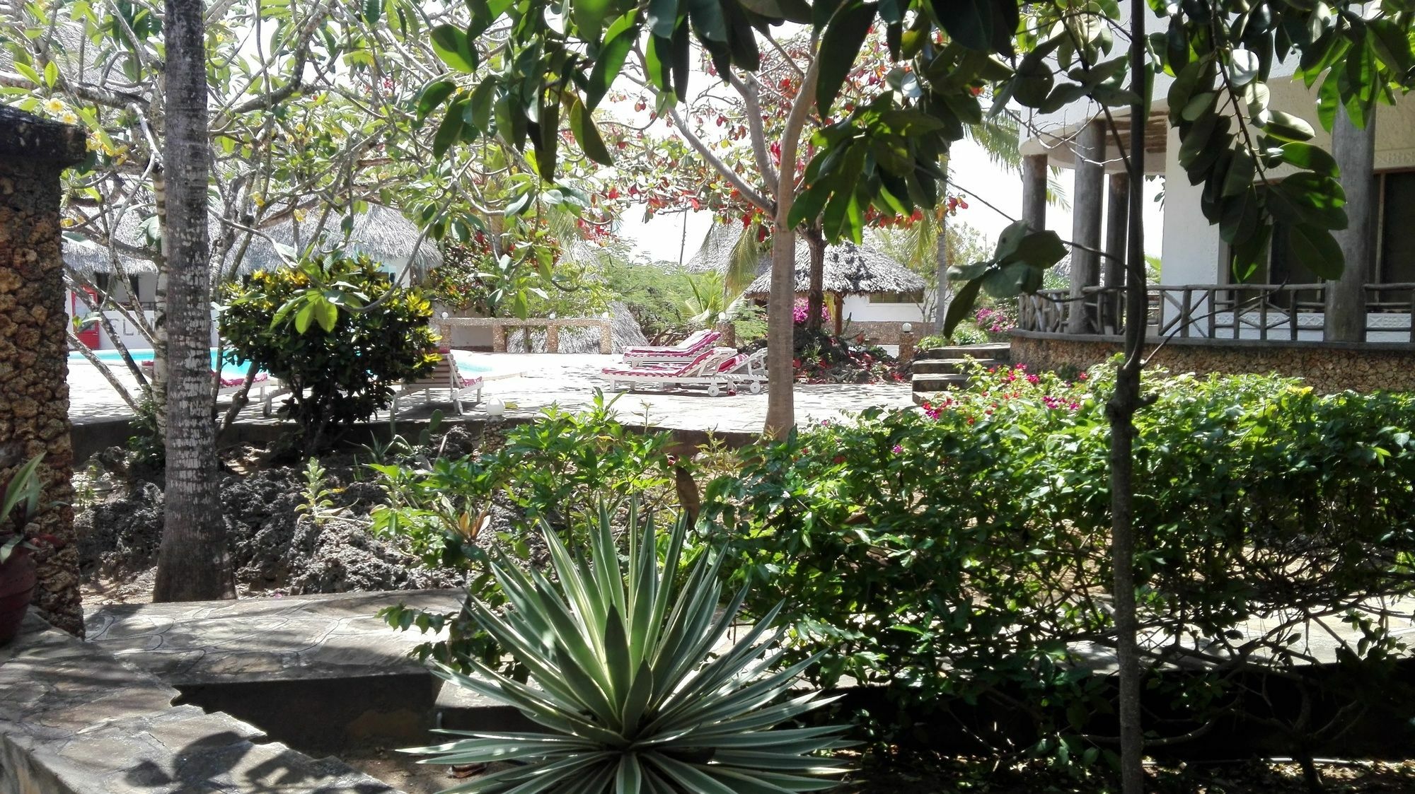 מאלינדי Flamingo Villas Resort מראה חיצוני תמונה